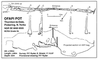 Descent 141 OFAPI Pot - NYM